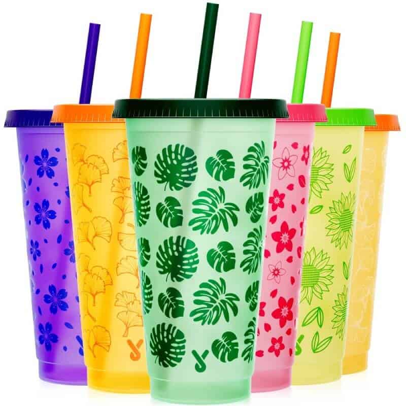 plastic-cups-with-lids-and-straws-24-OZ-2