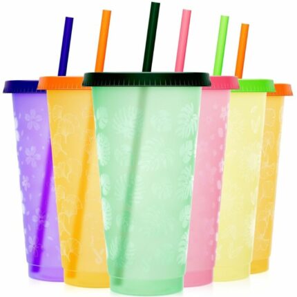 plastic-cups-with-lids-and-straws-24-OZ-1