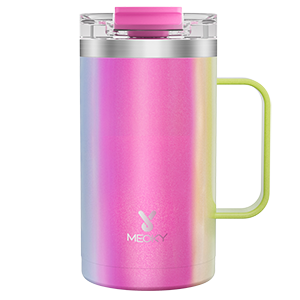 20oz Tumbler with Handle and 2 Straw 2 Lid, Insulated Water Bottle  Stainless